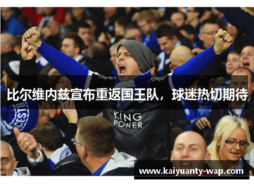 比尔维内兹宣布重返国王队，球迷热切期待